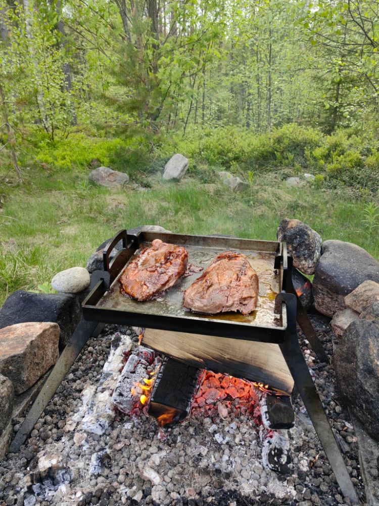 STÖDBEN FÖR GOURMETSTÅL KOLSTÅL - 2059