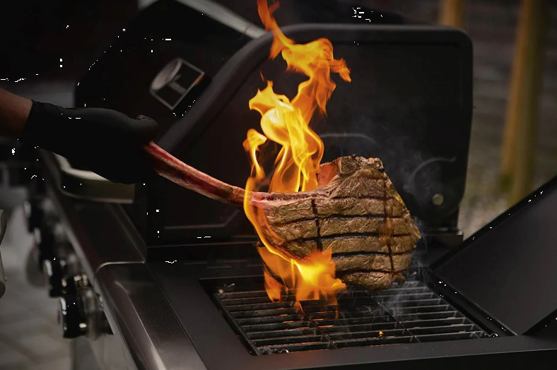 GASOLGRILL TRITON PTS 4.0 MAXX - 09770