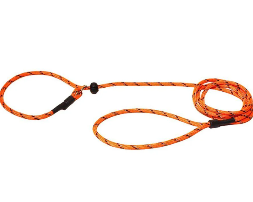 RETRIVERKOPPEL ORANGE M REFLEX - 773929-01