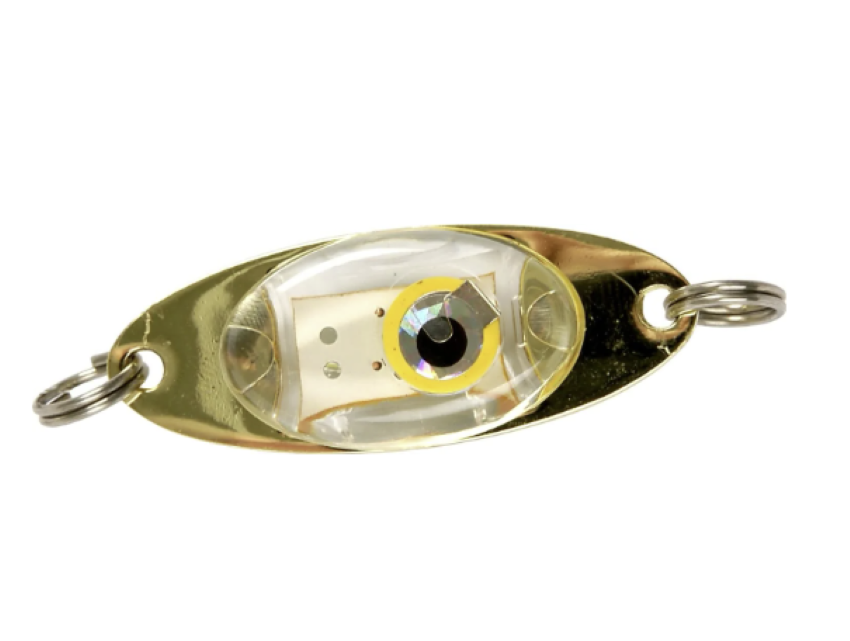IFISH APOLLO BLINKANDE LOCKSKED - IFISH APOLLO 