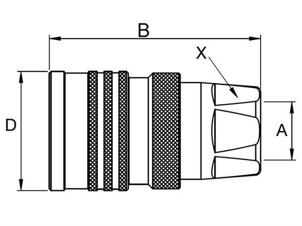 B306-T10011_female_a_dim_td