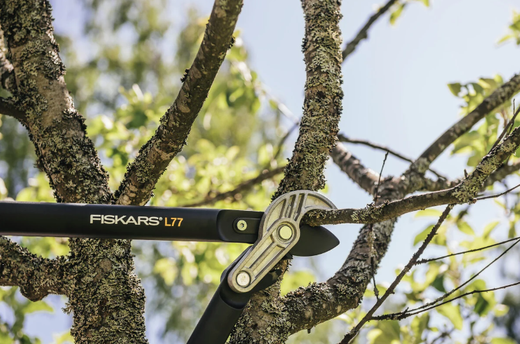 FISKARS GRENSAX PG L77 - FS1000583