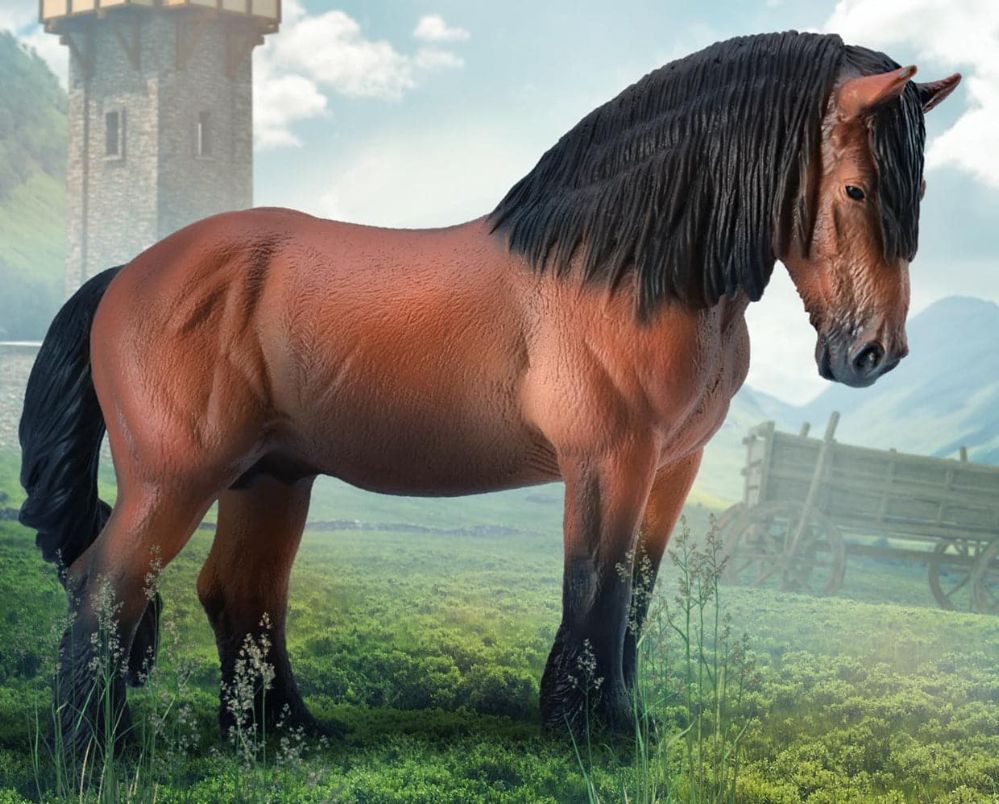 ARDENNER HÄST STALLION BAY XL - COL88759