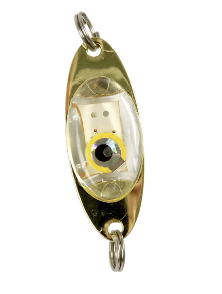 IFISH APOLLO BLÅ BLINKANDE LED - 20130215